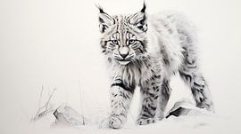 süßer junger Luchs -Zeichnung, Luchs-Bleistiftzeichnung im Vintage-Stil