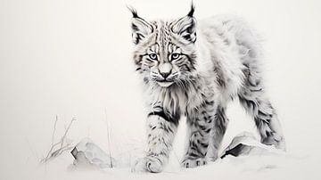 cute young lynx drawing, lynx pencil drawing in vintage style by Animaflora PicsStock