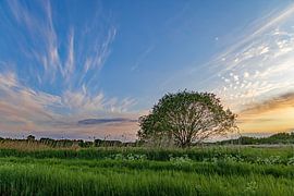 flache Hose, blaue Stunde von wilbert ottenheijm