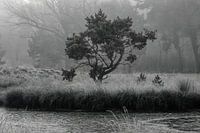 Duvelskuul - Afferden