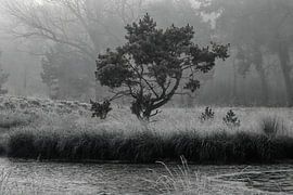 Duvelskuul - Afferden by Guus Rameckers