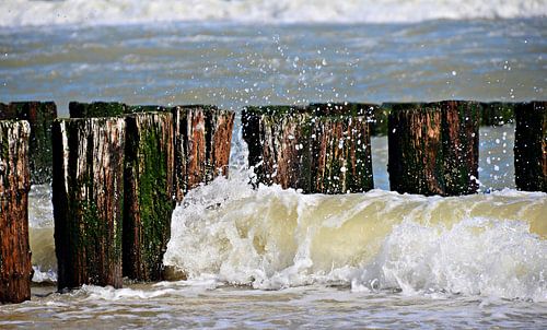 Palen en golven strand Domburg