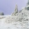 Paysage hivernal profondément enneigé dans la Rhön sur Holger W. Spieker
