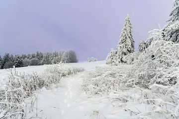 Diep besneeuwd winterlandschap in de Rhön van Holger Spieker