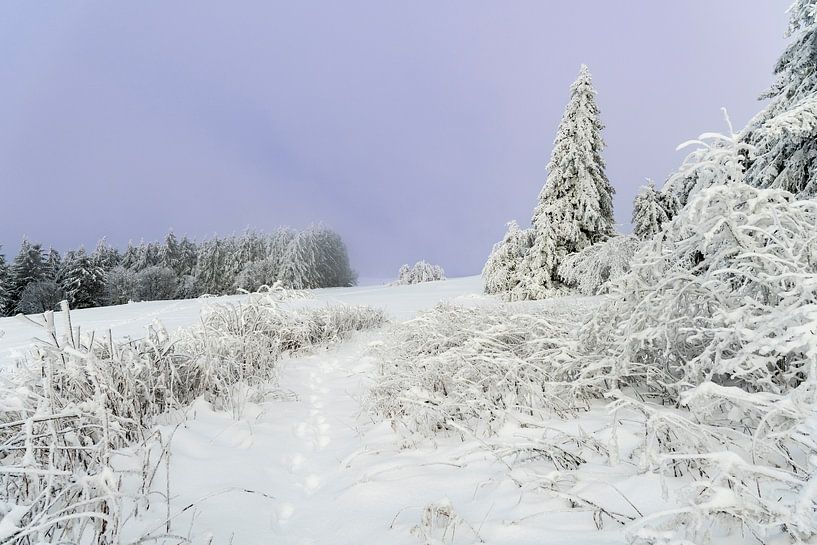 Tief verschneite Winterlandschaft in der Rhön von Holger W. Spieker
