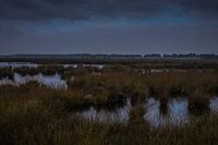 Hollands landschap