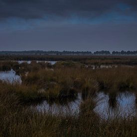 Hollands landschap van Jacco van der Veen