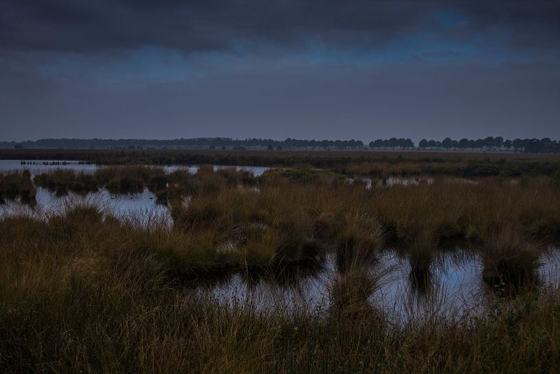 Hollands landschap van Jacco van der Veen