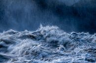 Het wilde water van de Dettifoss van Gerry van Roosmalen thumbnail