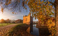 Kasteel Doornenburg