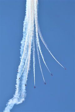 red arrows show van Christiaan Van Den Berg