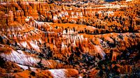 Natuurwonder Hoodoos bij Bryce Canyon National Park in Utah USA van Dieter Walther thumbnail