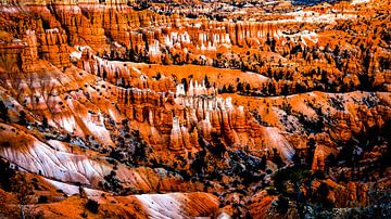 Natural wonder Hoodoos at Bryce Canyon National Park in Utah USA by Dieter Walther