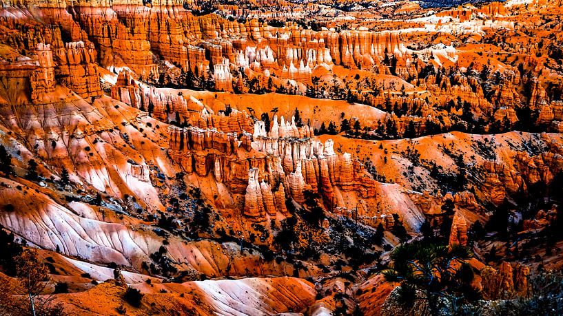 Merveille naturelle : Hoodoos dans le parc national de Bryce Canyon, dans l'Utah, aux États-Unis. par Dieter Walther