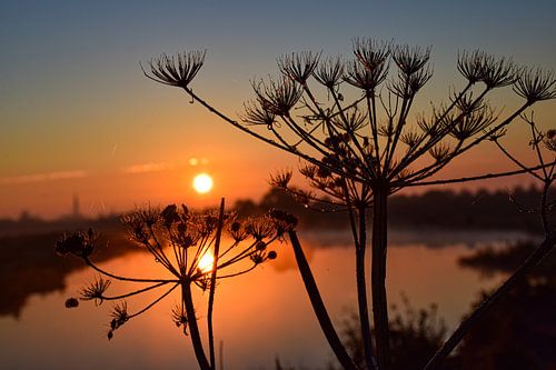 Zonsopkomst reflectie