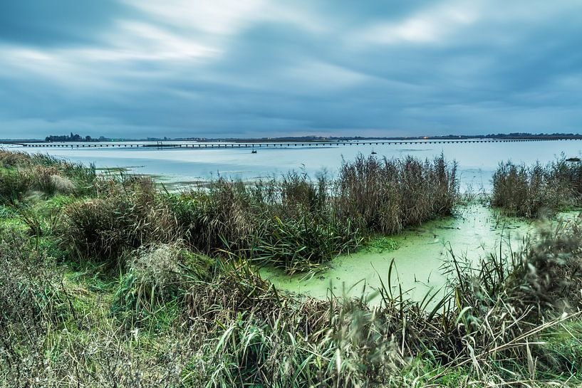 Het Dannemeer is een natuurgebied in Groningen von Arline Photography