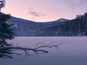 Sonnenuntergang am gefrorenen Arbersee 1 von Max Schiefele