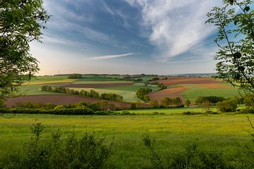 Pays des collines hollandaises avec une belle vue sur les prairies