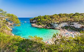 Beautiful island scenery, idyllic bay beach on Majorca island, Spain Mediterranean Sea by Alex Winter