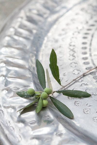 Circle of Life 3_Olive Branch von Tessa Jol Photography