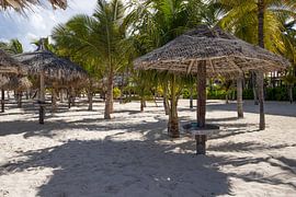 Aruba von Joyce Perez