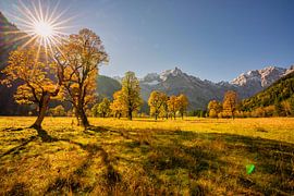 Golden autumn in the Karwendel ? here at "Großer Ahornboden" by Einhorn Fotografie