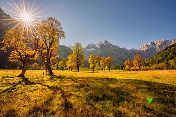 Gouden herfst in de Karwendel ? hier bij "Großer Ahornboden" van Einhorn Fotografie