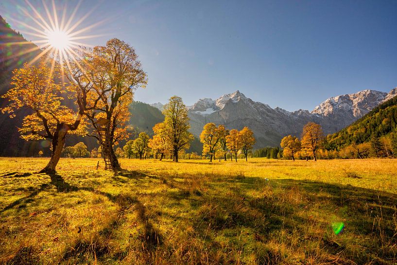 Golden autumn in the Karwendel ? here at &quot;Großer Ahornboden&quot; by Einhorn Fotografie
