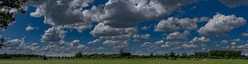 Nederlandse weilanden met wolken panorama van Tessa Louwerens