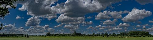 Prairies néerlandaises avec panorama de nuages
