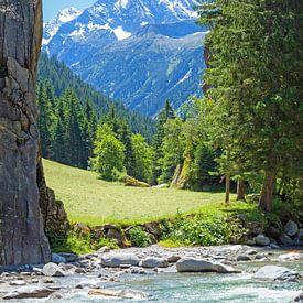Een prachtige dag in het Zillertal van Karl Walkam