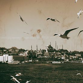 Die Skyline von Istanbul vom Bosporus aus von Caught By Light