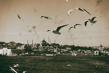 Die Skyline von Istanbul vom Bosporus aus von Caught By Light