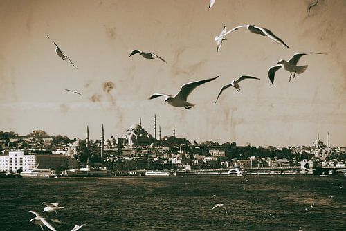 The skyline of Istanbul, from the bosphorus
