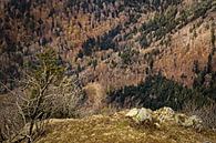 Le Honeck / Route des Cretes (Vogezen) van Rob Boon thumbnail
