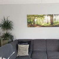 Klantfoto: Idyllisch bos bij zonsopgang van Günter Albers, op canvas