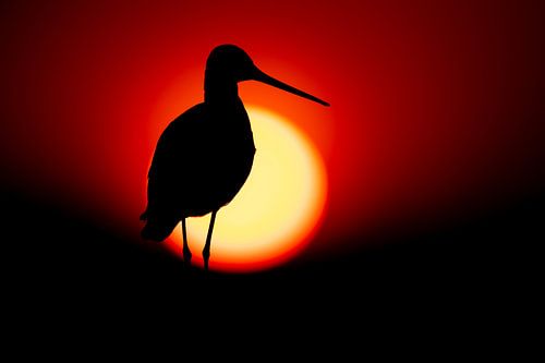 Grutto met zonsondergang