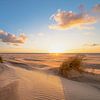 Uitzicht op zee van Niels Barto