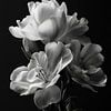 Bloemcompositie in zwart-wit van ARTemberaubend