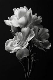 Composition florale en noir et blanc