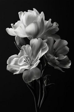 Composition florale en noir et blanc