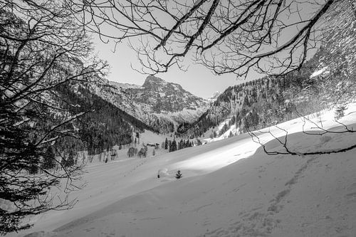 Une fenêtre dans le Marbachalm