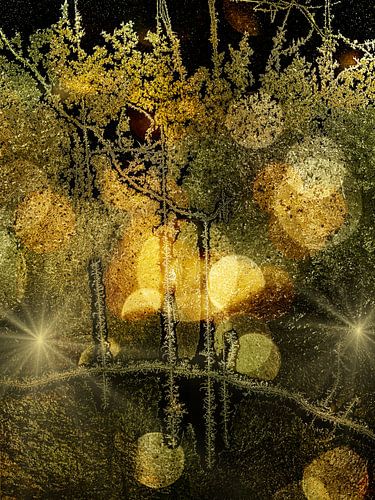 Winter Wonderland. IJs en Sterren.