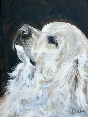 Portret van een Golden retriever