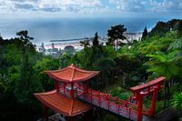 A view of the sea from the Botanical Garden in Funchal