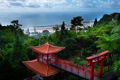 Ein Blick auf das Meer vom Botanischen Garten in Funchal