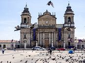 Kathedraal van Guatemala Stad met duiven en fietser op de voorgrond van Michiel Dros thumbnail