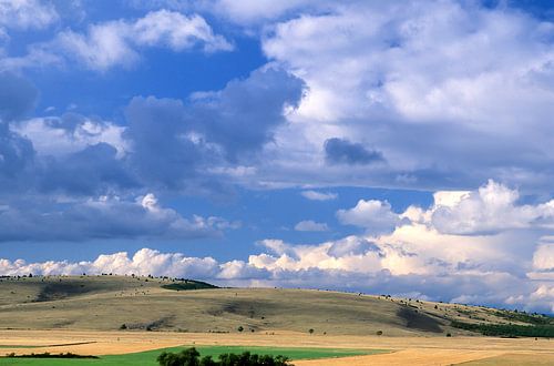 Tuscan landscape