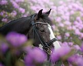 Pferdeportrait in Blumen von Jack Soffers Miniaturansicht