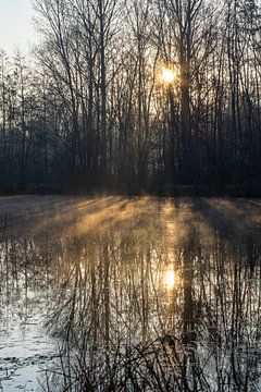 Zonsopgang van Marinella Geerts